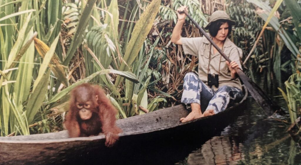 Dr Galdikas in a canoe with a baby orangutan 