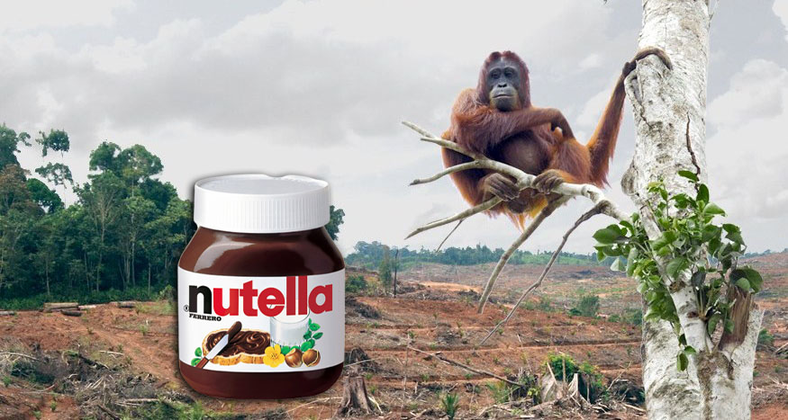 nutella bottle in a empty land with orangutan