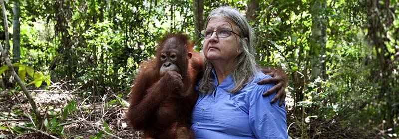 birute holding a infant orangutan